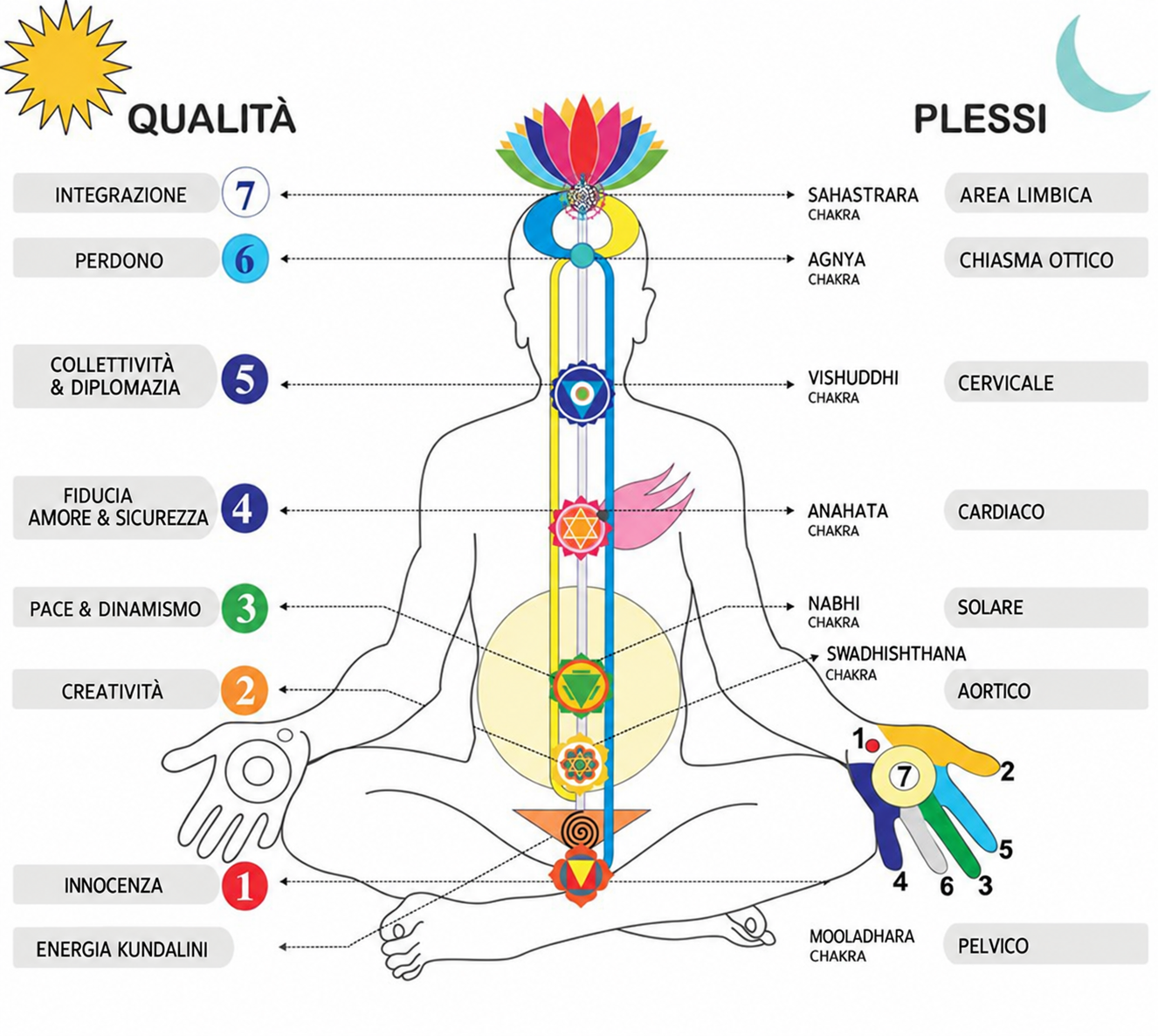 Diagramma dei sette chakra con etichette in italiano