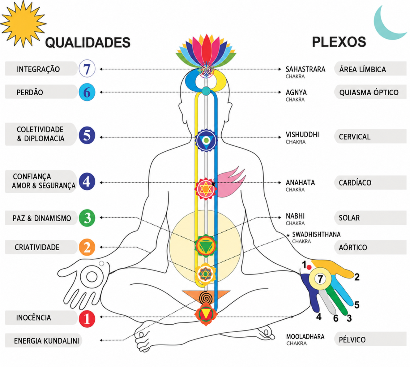 Diagrama dos sete chakras com legendas em português